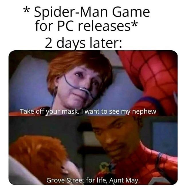 title modded the hell out of Spider-Man. - meme