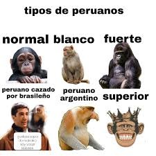 Peruanos miados - meme