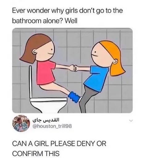 Girl's bathroom - meme