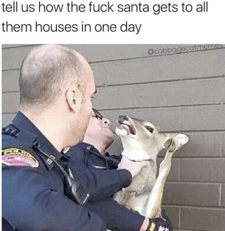 Christmas deers - meme