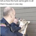 Christmas deers