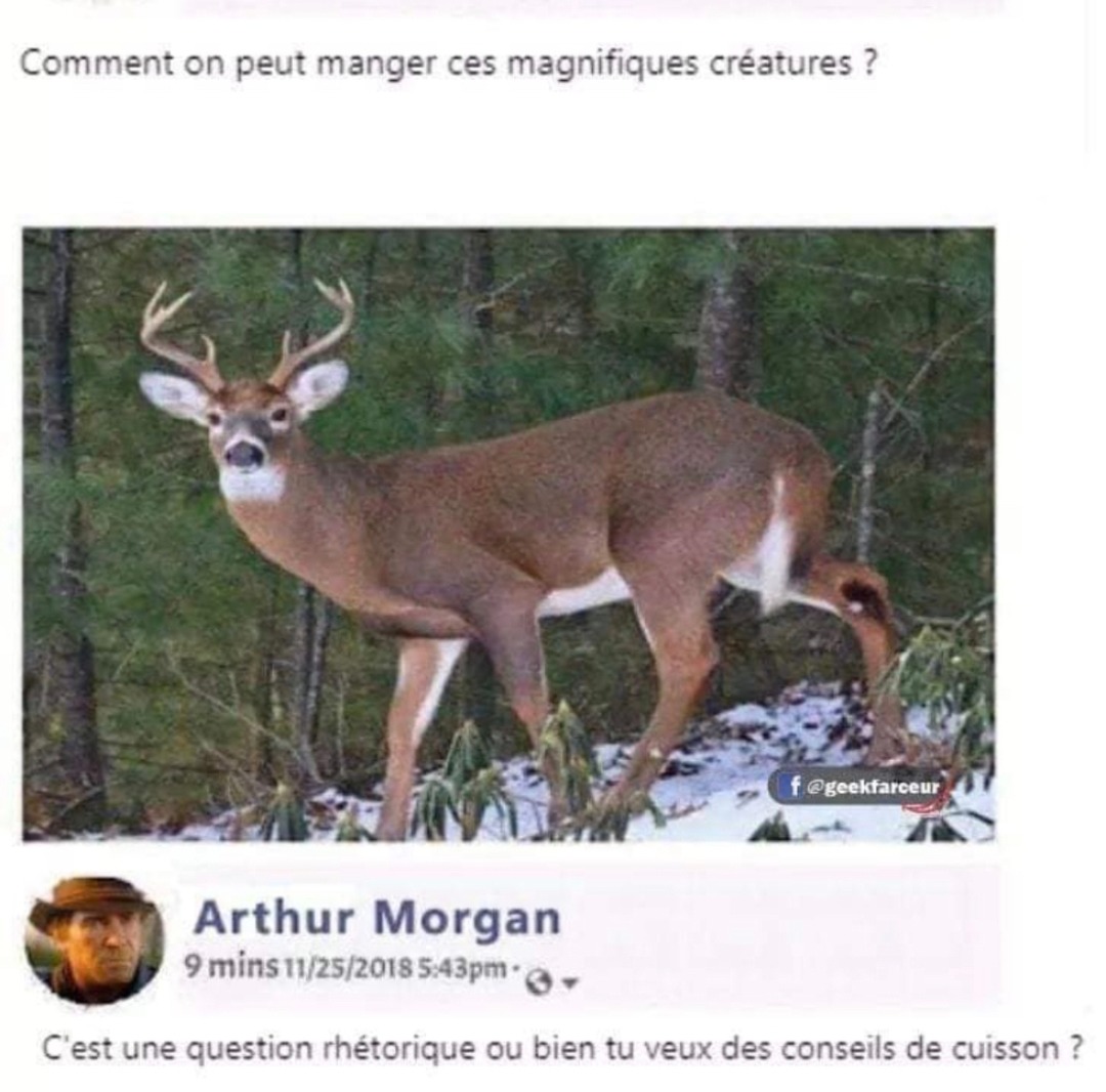 Comment on peut manger ces créatures ? Tu veux une recette ou quoi - meme