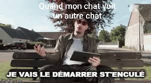 Le titre ce bat contre un chat - meme