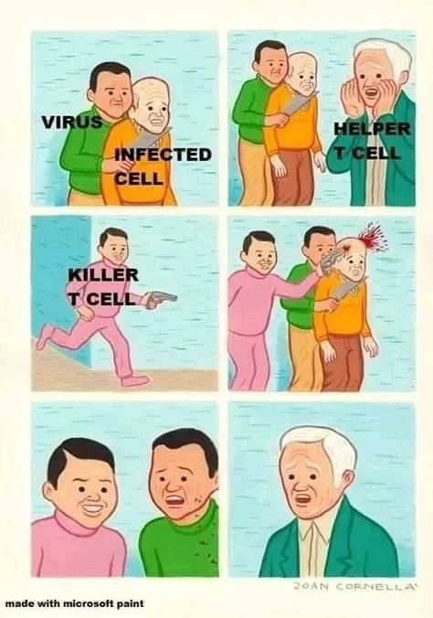 Killed T cells be like - meme