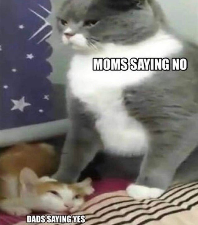 Mom outrules dad - meme