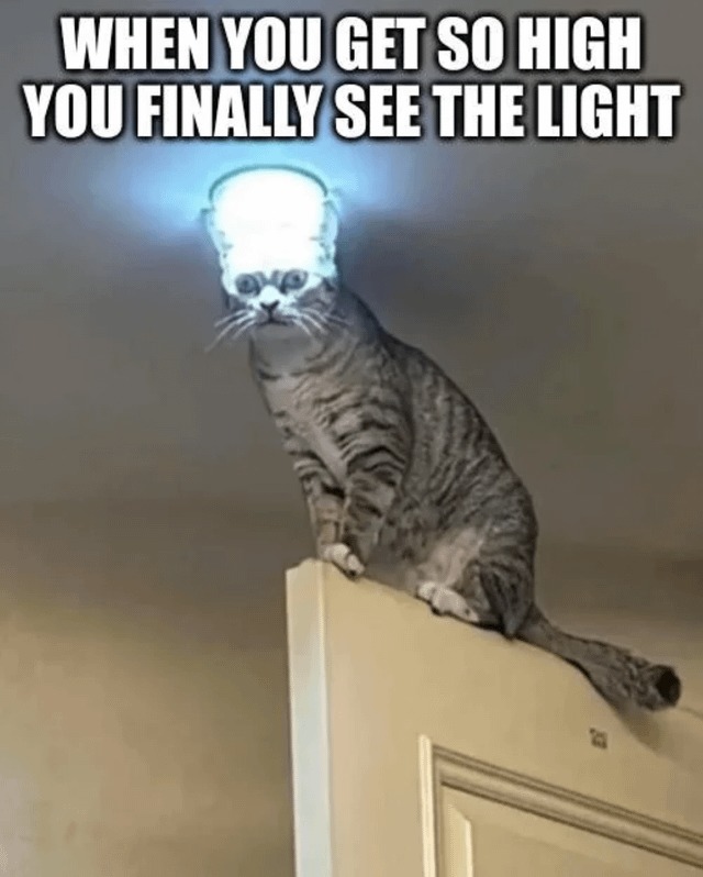 illuminated - meme