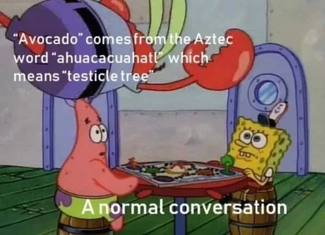 avocado means testicle tree and now I can’t unlearn that - meme