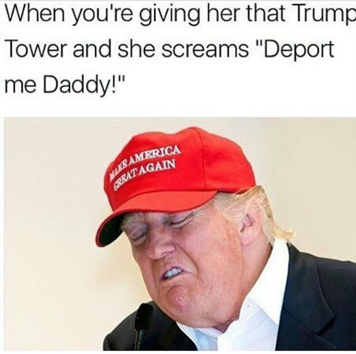 The Donald D - meme