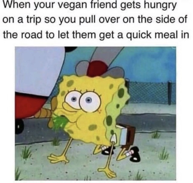 that vegan teacher - meme