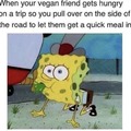 that vegan teacher