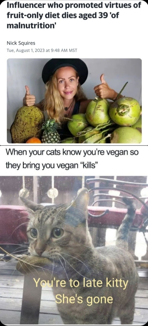 Good kitty - meme