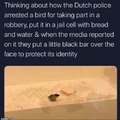 Bird arrested for taking part in a robbery