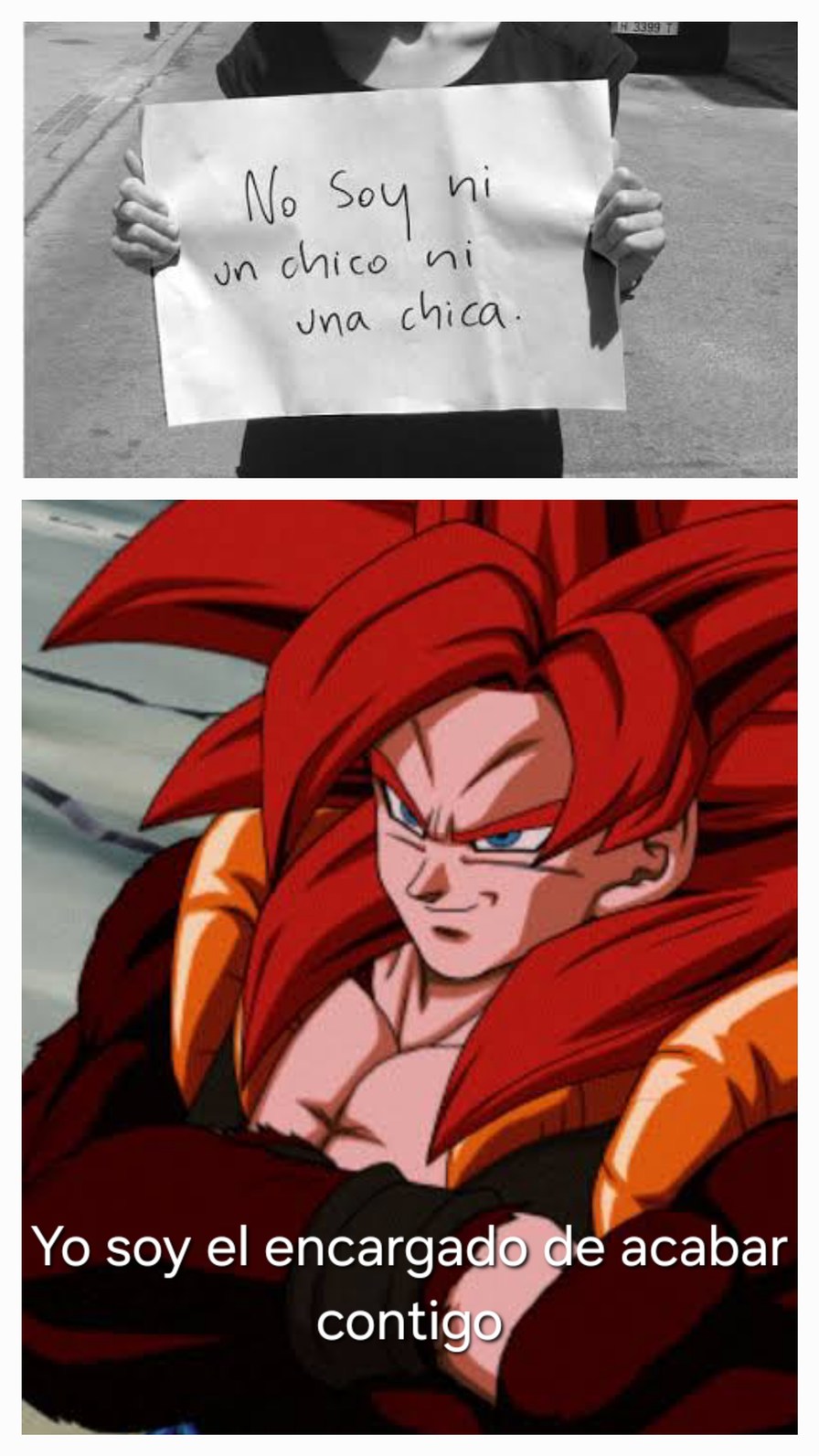 Si veo en vida real a un lgbtqwerty con una imagen de Gogeta creo que me voy a enojar - meme