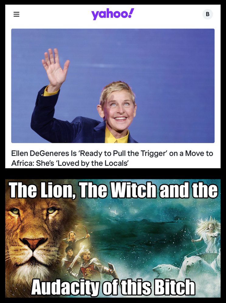 the lion, the witch… - meme