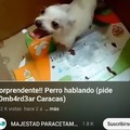 commented item thumbnail