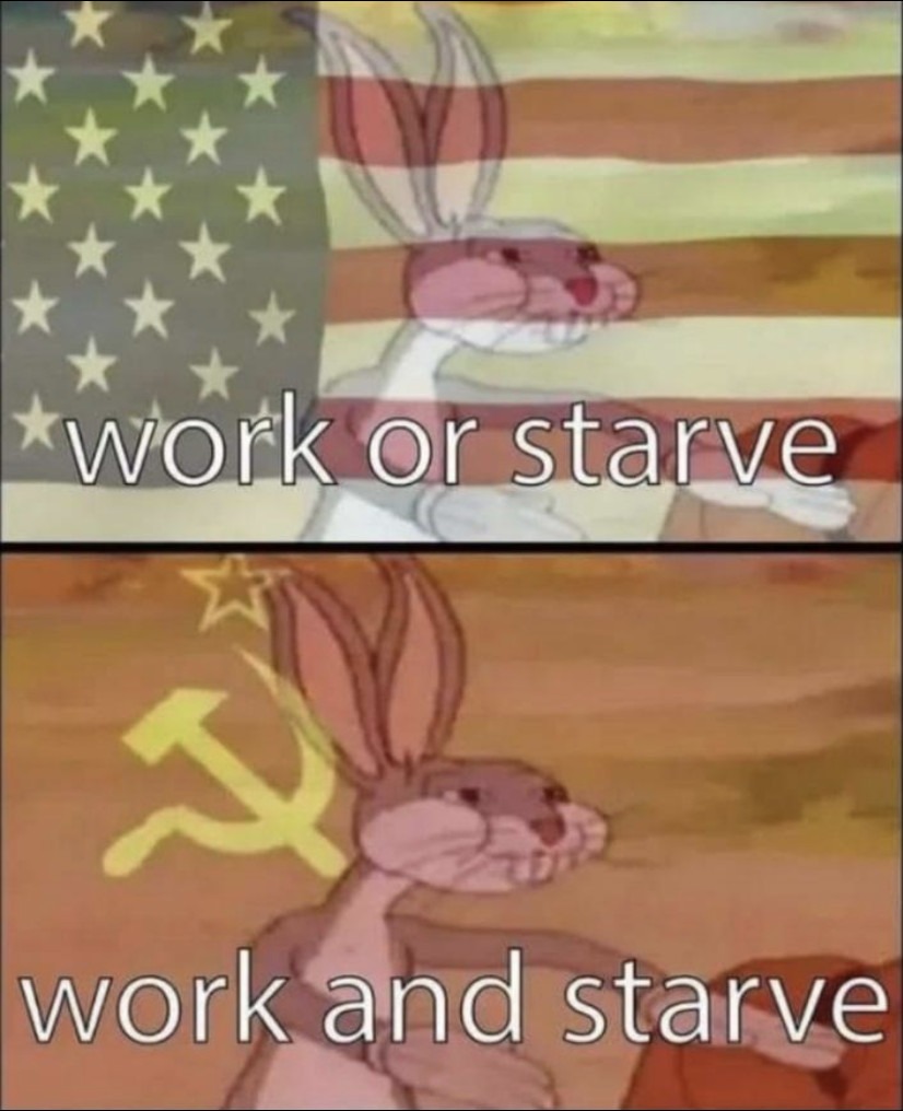 Work or starve - meme