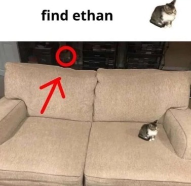 find him - meme