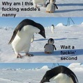 Confused penguin noises