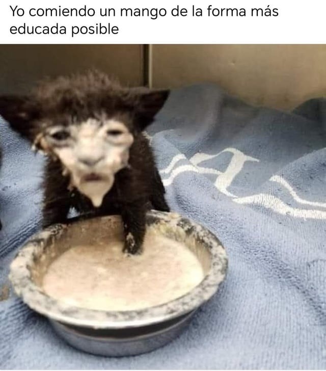 Yo comiéndome un mango con más elegancia que en una boda - meme