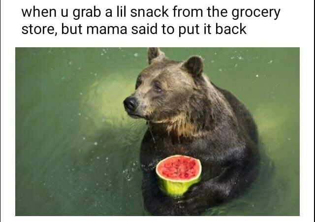 Sad bear - meme
