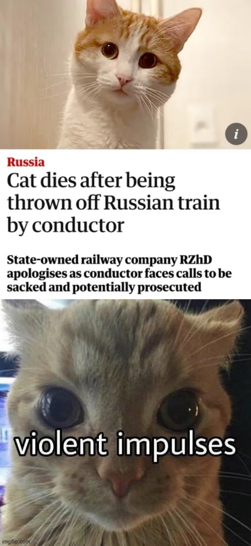 Cat dies after being thrown off Russian train by conductor - meme
