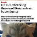 Cat dies after being thrown off Russian train by conductor
