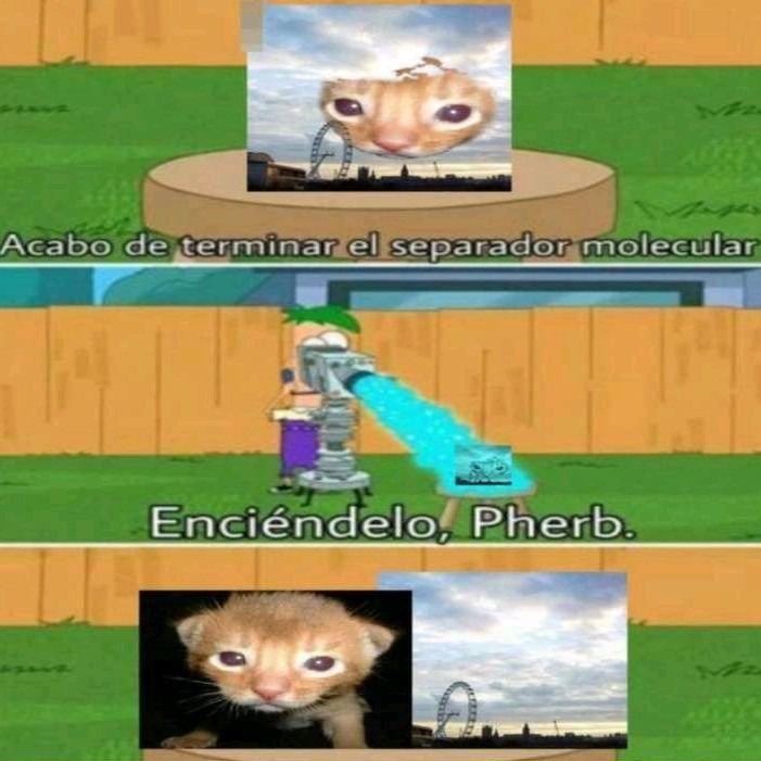 Si... - meme