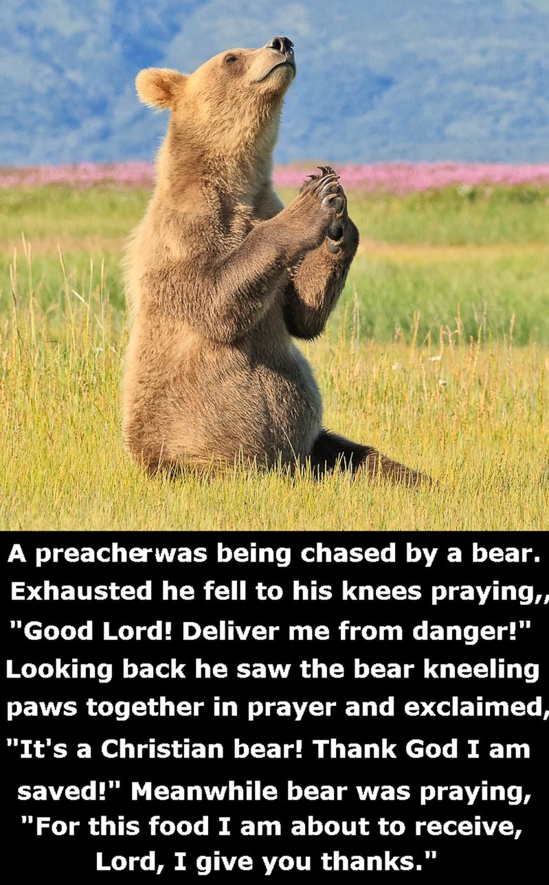 The Christian Bear - meme