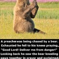 The Christian Bear