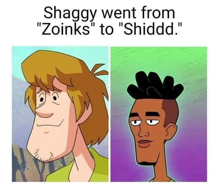 Shaggy from the hood - meme