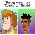 Shaggy from the hood