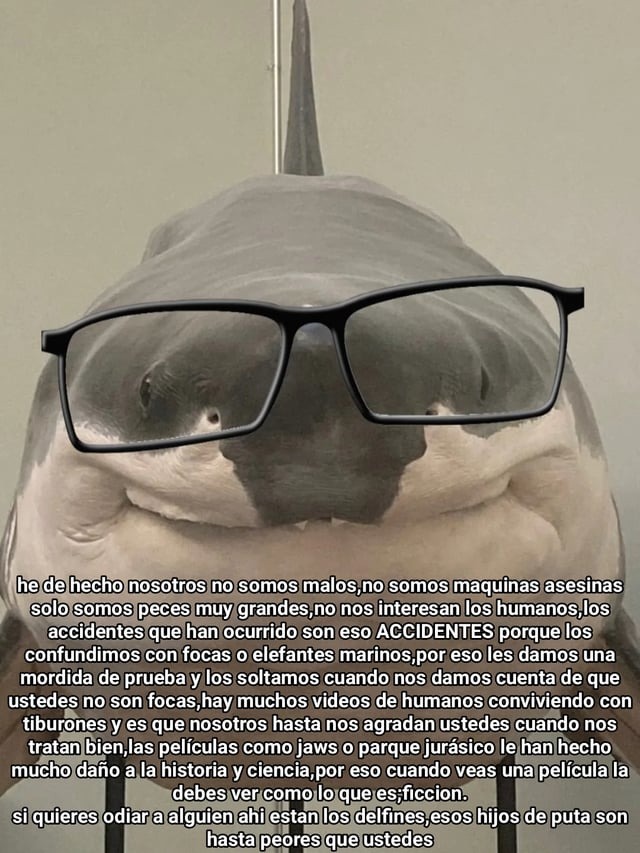 Profesor tiburon - meme
