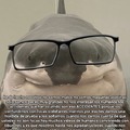 Profesor tiburon