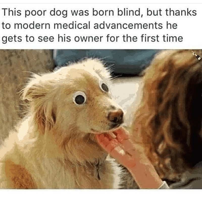 I see no problems - meme