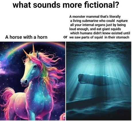 what sounds more fictional? - meme