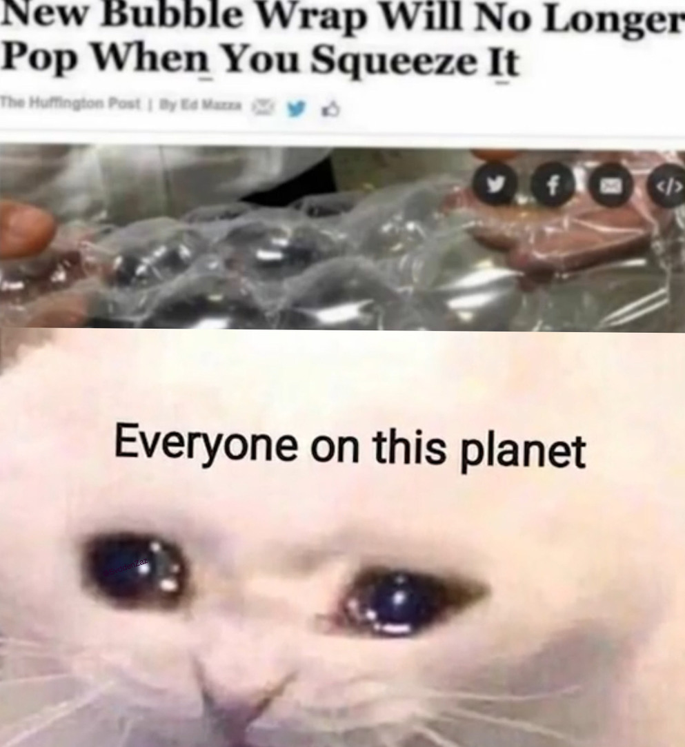 Everyone on this planet is cat - meme