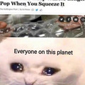 Everyone on this planet is cat