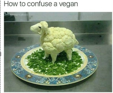 Confusing vegans 101 - meme