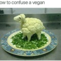 Confusing vegans 101