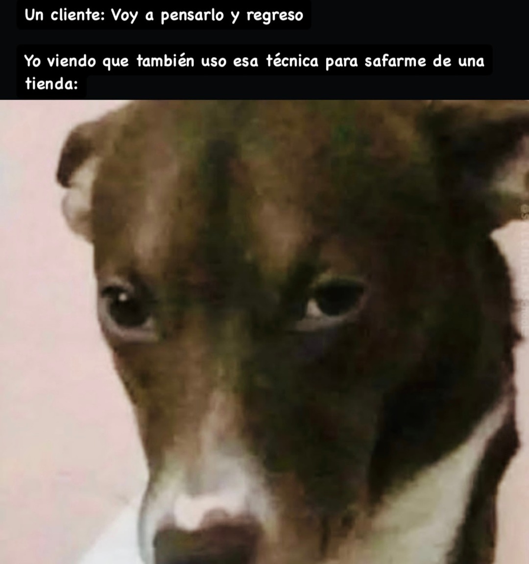 Déjame pensarlo y regreso - meme