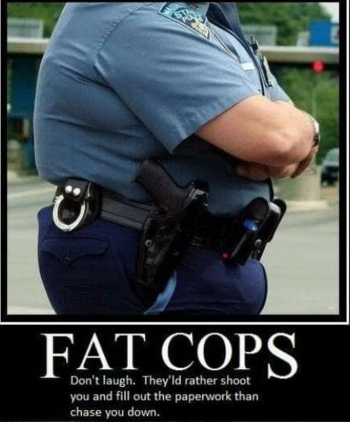 Fat Cops - meme