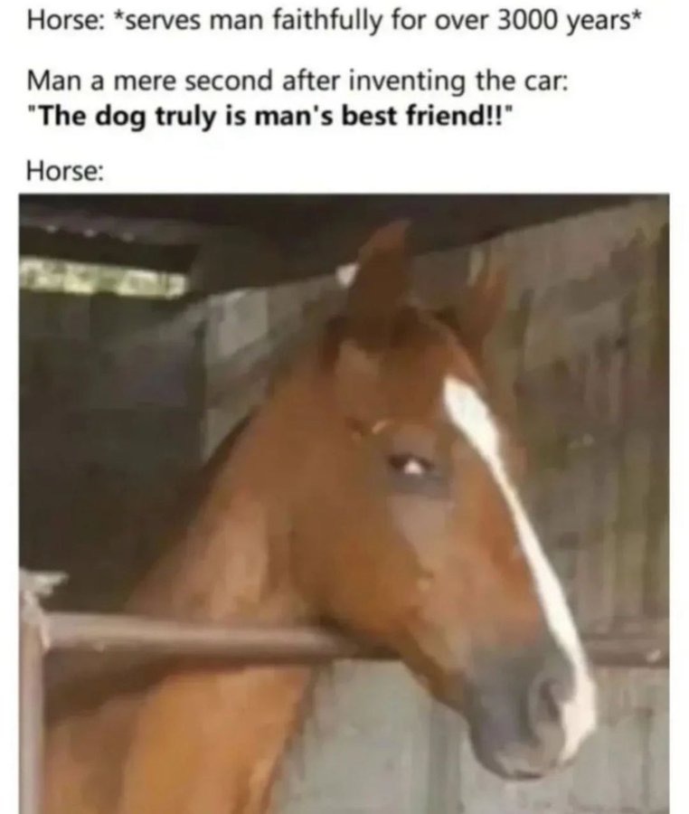 horse meme