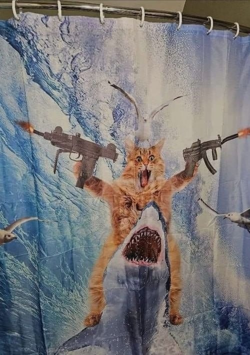 Perfecto para mi bañera - meme