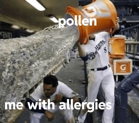 Allergies vs me every time pollen breathes - meme