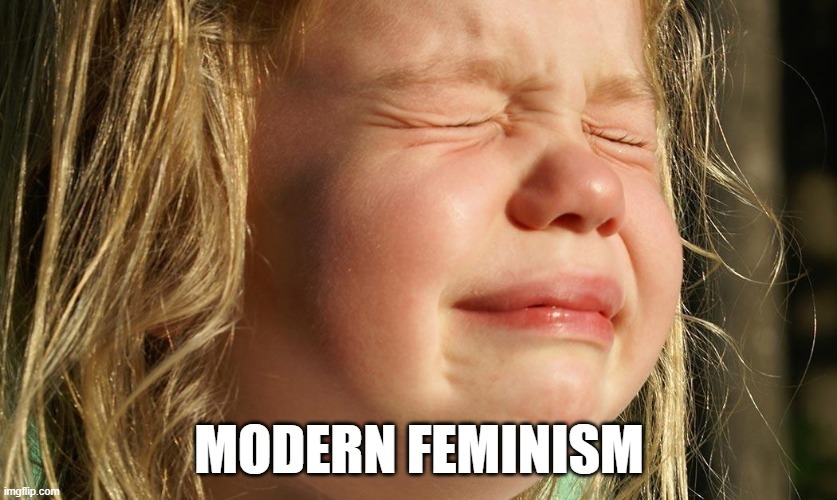 Modern Feminism - meme