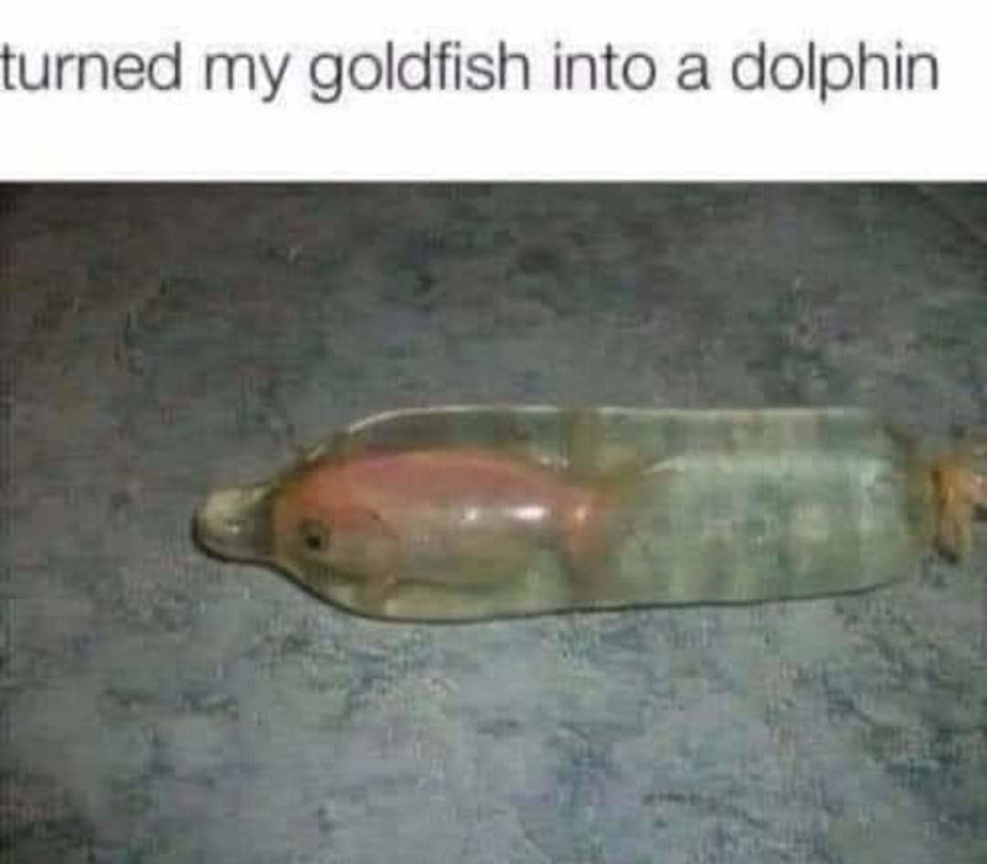 Fishy - meme