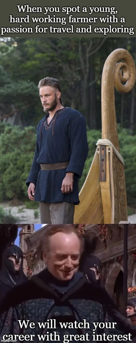 I used to love the Vikings series - meme