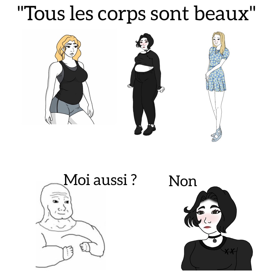 Ne croyez jamais les hypocrites et leur body positivisme - meme
