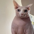 commented item thumbnail