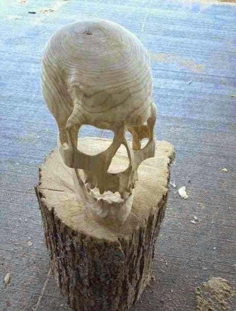 Skeleton wood - meme